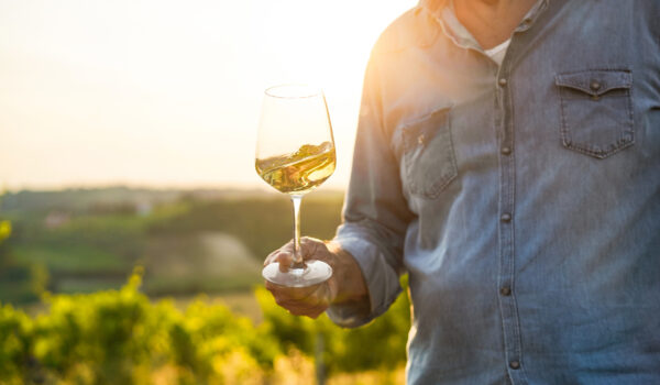 Дегустация вин в долине Джалон